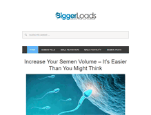Tablet Screenshot of biggerloads.com